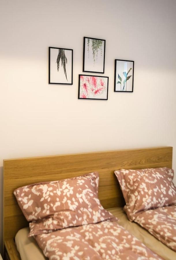 Paul'S Place. New Rooftop Apartment In Downtown Sibiu Exterior foto